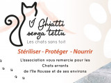 Les Chats sans Toit Corsica - I Ghjatti Sensa Tettu