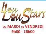 Louloustars