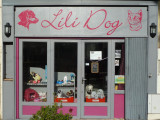 Lili Dog