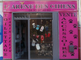 L'arène des chiens