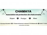 Chamaya