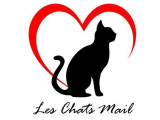 Les Chats Mail