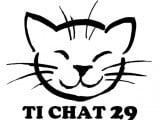 Ti Chat 29