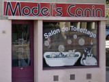 Model's Canin