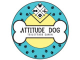 Attitude Dog