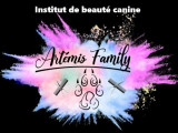Artémus Family
