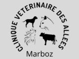 Clinique vétérinaire des Allées
