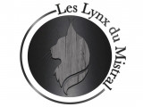 Les Lynx du Mistral