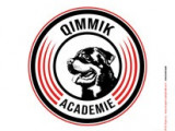 Qimmik Académie