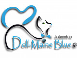 Doll-Maine Blue