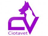 Ciotavet
