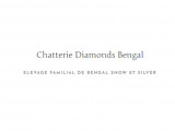 Diamond Bengal