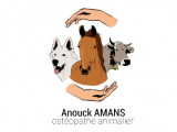 Anouck Amans