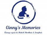 Ginny's Memories