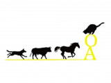 Ostéopathe Animalier