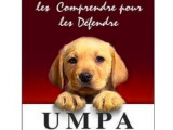 Union Marocaine pour la Protection des Animaux (UMPA)