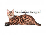 Sankalpa Bengal