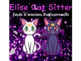 Elise Cat Sitter