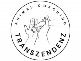 Transzendenz Coaching
