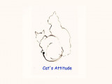 Cat's Attitude