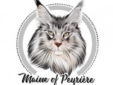 Maine of Peyrière
