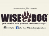 Wise Dog 67