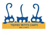 Troyes Petits Chats