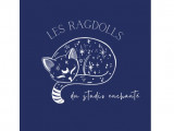 Les Ragdolls Du Studio Enchanté