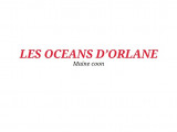 Des Océans d'Orlane