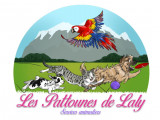 Les Pattounes de Laly