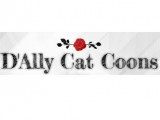 D'Ally Cat Coons