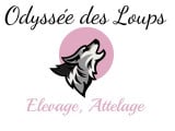 Odyssée Des Loups