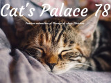 Cat's Palace 78
