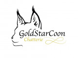GoldStarCoon