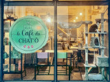 Le Café Du Chat'Ô