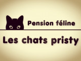 Les chats pristy