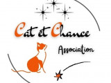 Cat et Chance (CC)