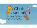 Les chats de Mohonna