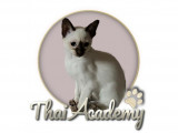 La Thaï Academy