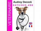 Audrey Decock
