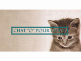 Chat 'O' pour Chats