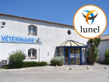 Clinique vétérinaire de Camargue