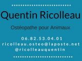 Quentin Ricolleau
