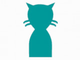 Chaton Santé