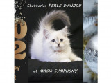 Perle D'Anjou Magic Symphony
