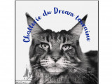 Du Dream Touraine