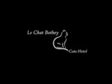 Le Chat Bothey
