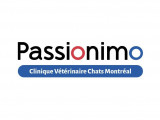 Chats Montréal