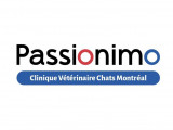 Chats Montréal