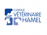 Clinique Vétérinaire Hamel